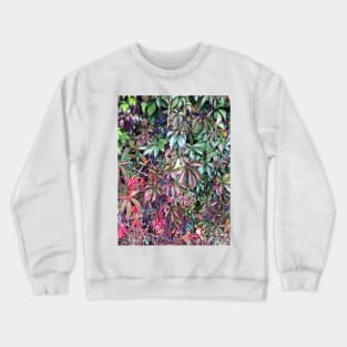 Virginia Creeper Crewneck Sweatshirt